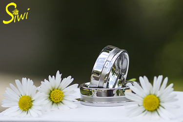Hochzeit von Doreen und Jörn, hier ihre Trauringe mit Gänseblümchen.