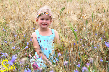 Im Getreidefeld - mit Erlaubnis des Besitzers