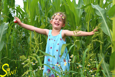 Fotoshooting im Maisfeld - mit Erlaubnis des Besitzers