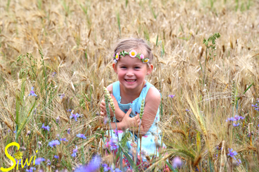 Im Getreidefeld - mit Erlaubnis des Besitzers