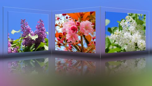 Fr&uuml;hling im Foto-Shop