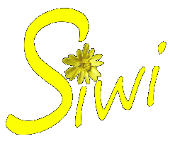 Logo: Mobile Familienfotografin Simone Winkler